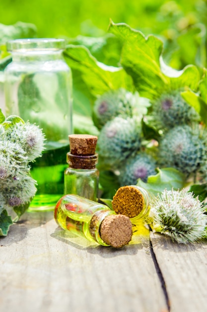 Burdock oil. Medicinal plants. Selective focus.