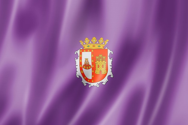 Burgos province flag, Spain waving banner collection. 3D illustration