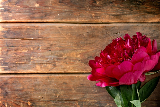 Burgundy peony