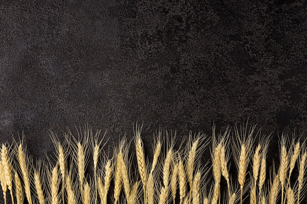 Burlap napkin on a dark structural background, top view. Ears of wheat. Copyspace. top view