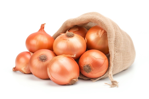 a burlap sack full of onions