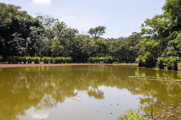 Burle Marx park Stadspark in Sao Jose dos Campos Brazilië Prachtig meer met typische bomen