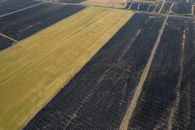 Burn rice fields aerial view from flying drone of Field rice Forest fires