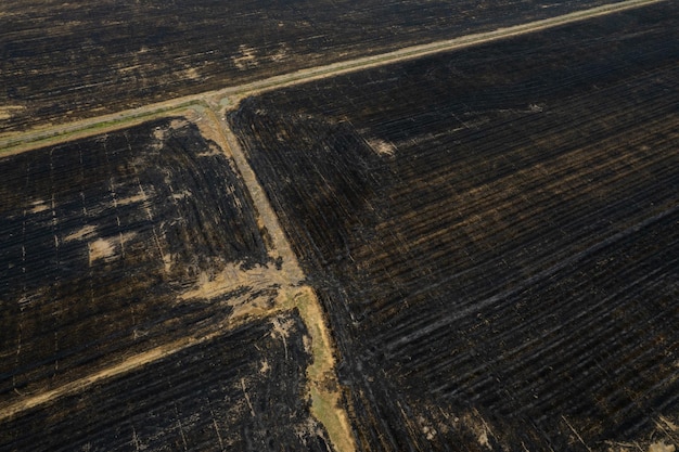 Burn rice fields aerial view from flying drone of Field rice Forest fires