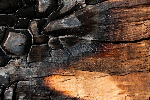 Photo burned wood texture background