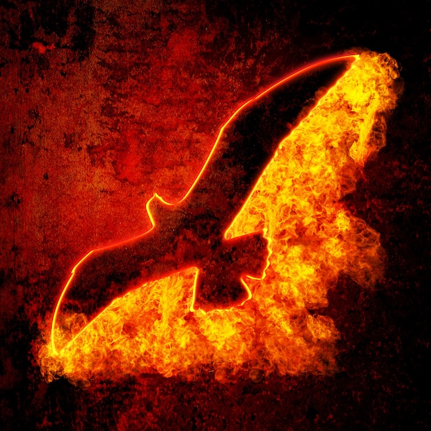 Photo burning bird silhouette on grunge background