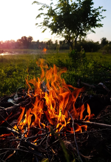 A burning bonfire is lit in the open air