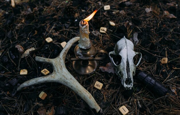 사진 마법의 숲에서 불타는 불과 은 두개골 오컬트 에소테릭 개념