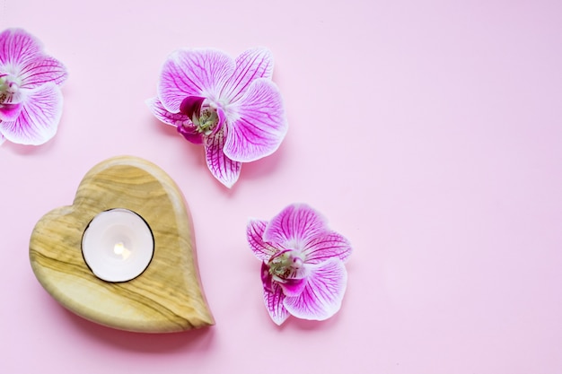 Burning candle and orchid flowers on pink background. Relaxation spa concept.