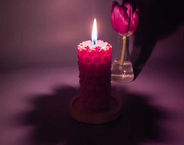 Burning candle and tulip in the dark