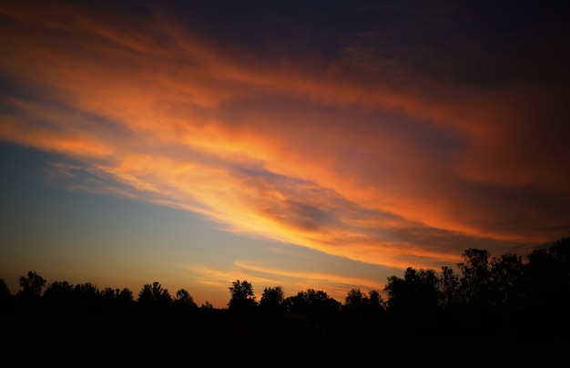 Burning clouds over the sunset forest background