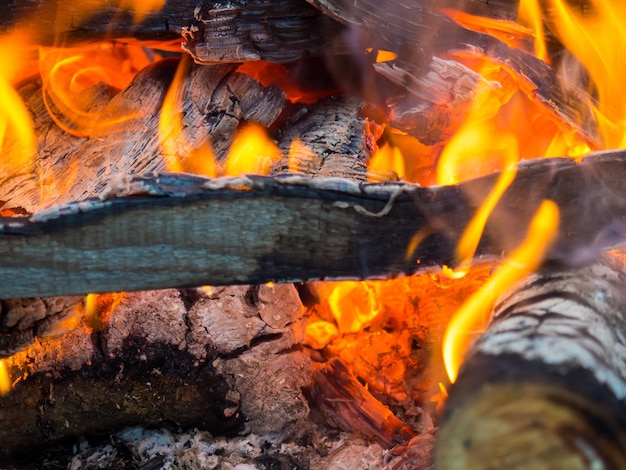 불타는 불. 불은 숲에서 타오른다. 불타는 석탄의 질감. 숲에서 요리를 위한 모닥불. 불타는 마른 가지.