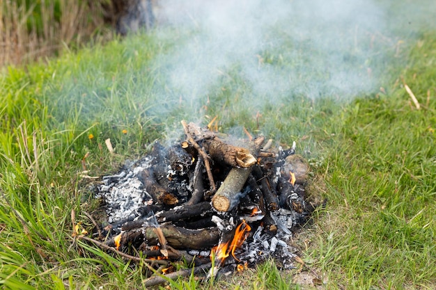 burning fire on the grass picnic