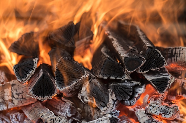 burning fire wood