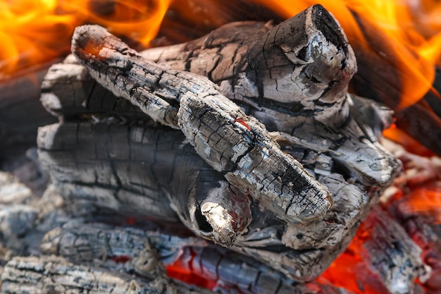 Burning firewood and coals of a fire close up High quality photo