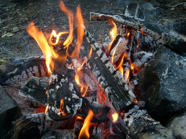 Bruciare legna da ardere in un fuoco fuoco luminoso lingue di fiamma di colore arancione