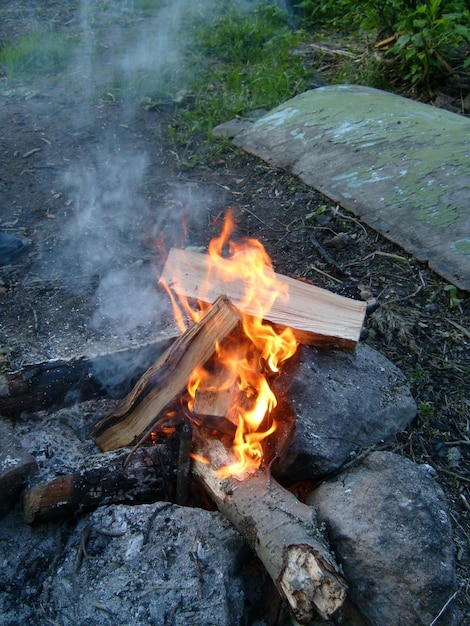 Burning firewood in a fire bright fire tongues of flame of\
orange color