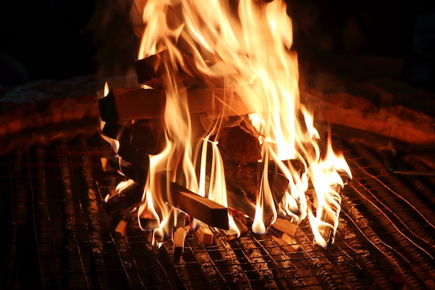 Burning firewood fire closeup on a metal grate in the dark