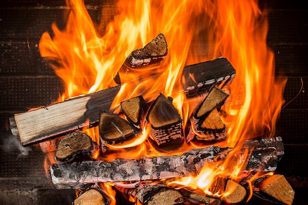 Burning firewood in the fireplace close up