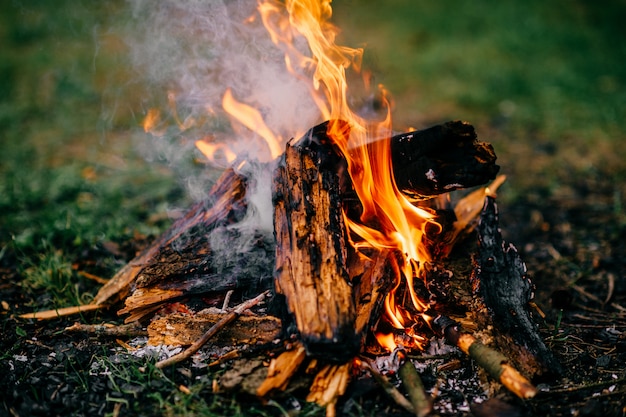 Photo burning firewood in outdoor summer camp. travel and tourism.  wood in flame.  smoldering coals and ash