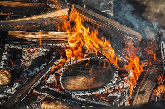 Burning logs in a campfire close up