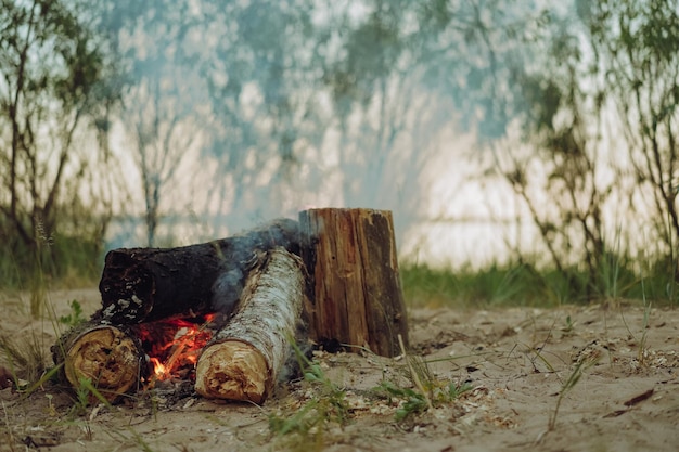 Burning logs of wood in campfire local travel concept