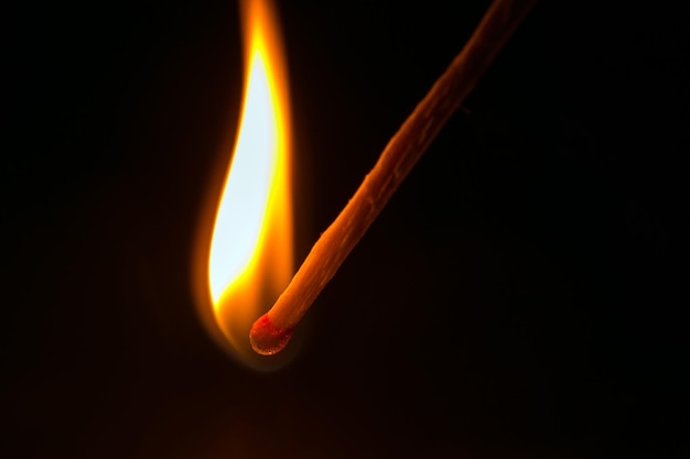 Burning match in the dark Close up view