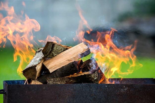 Burning in metal box firewood for barbecue outdoor.