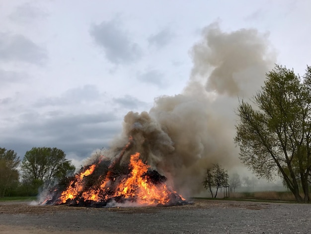 Foto piante in fiamme contro il cielo