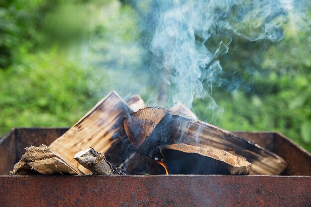 Burning and smoking logs in the grill. Picnic in nature. Close-up.