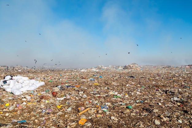 Foto bruciare mucchi di rifiuti in discarica