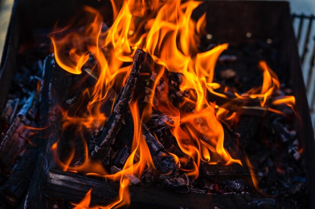 Burning wood chips to form coal. Barbecue preparation, fire befo