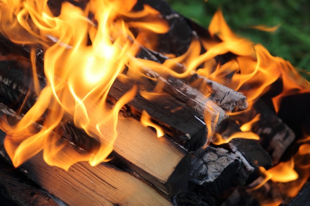 Burning wood in close up