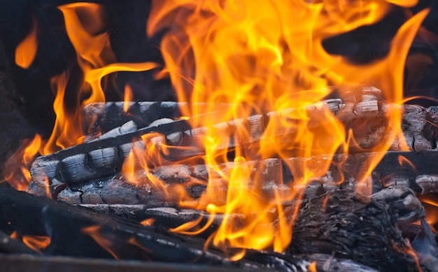 暖炉で木と石炭を燃やす