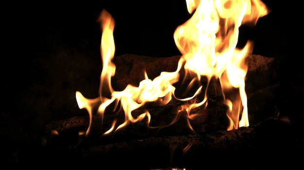 Burning wood in the fire camp fire in the night fire flames forest fire close up