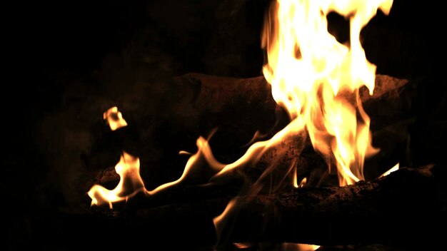 Горящее дерево в огне лагерный огонь в ночное время огонь пламя лесный огонь близко