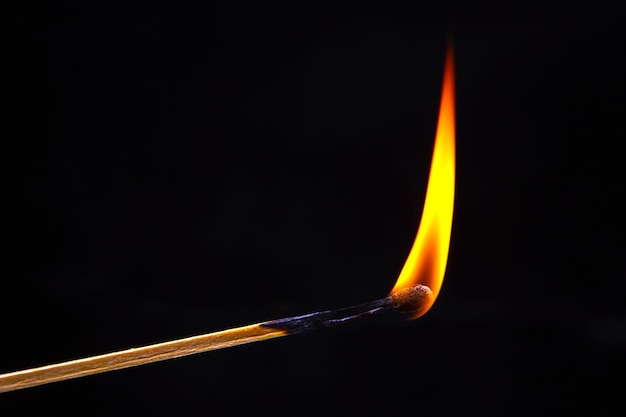 Burning wood match on a dark background closeup burning tree fire