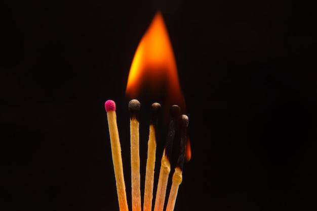 Photo burning wood match on a dark background closeup burning tree fire