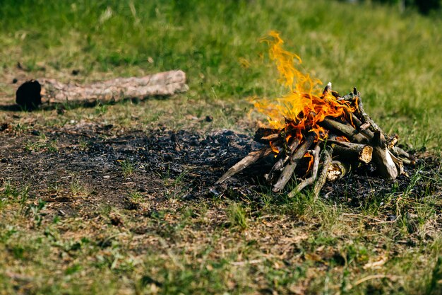 Photo burning wood at nature