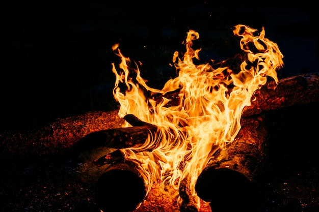 Burning wood at night. Campfire at touristic camp at nature in mountains.