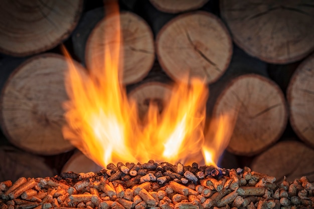 Burning wood pellet