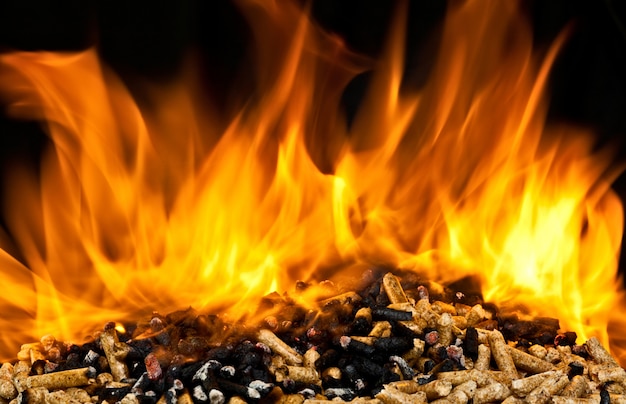 Burning wood pellet