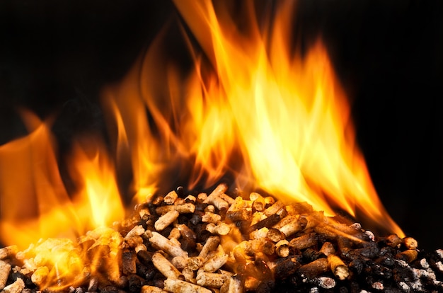 Burning wood pellet