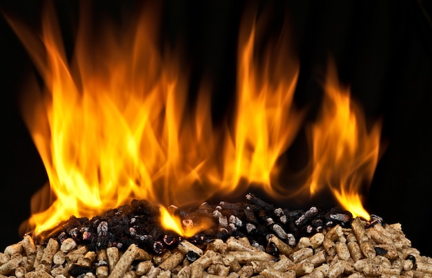 Burning wood pellet