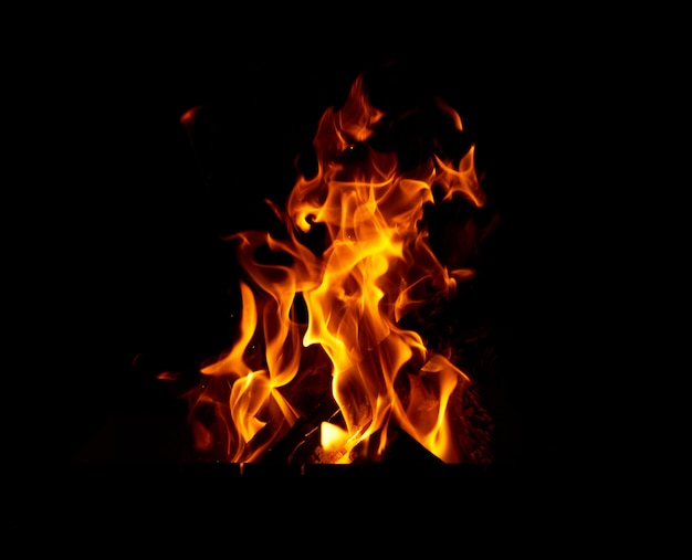 밤에 모닥불에 나무로되는 통나무 굽기