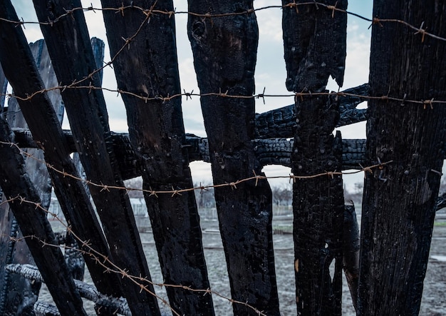 Burnt fence with barbed wire