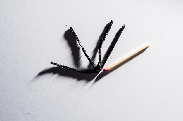 Burnt matches on a white background