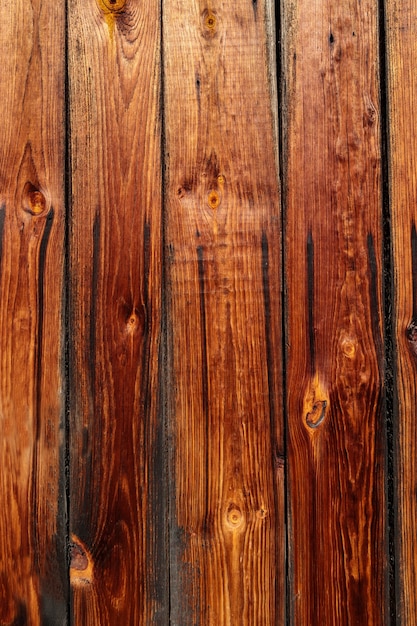 Burnt pine wood texture.