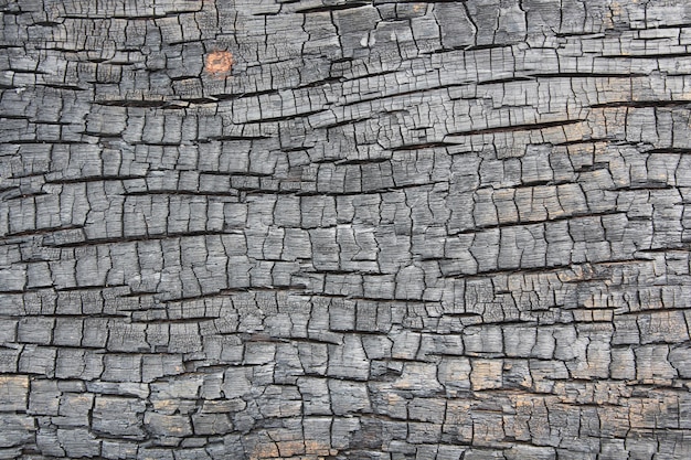 burnt wood texture