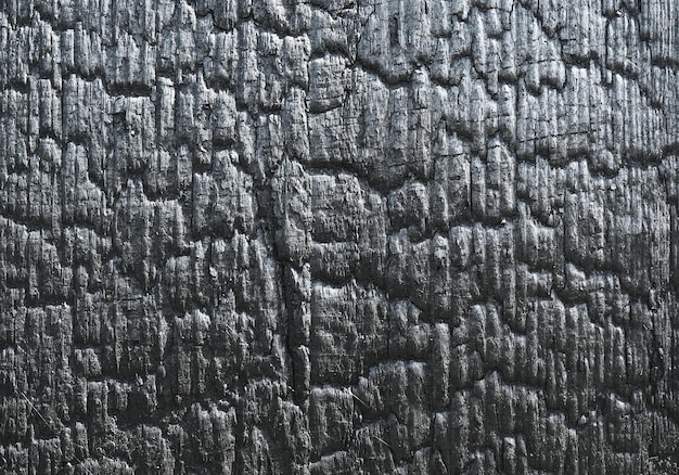 Foto texture tavola di legno bruciata sho sugi ban è un metodo tradizionale giapponese di conservazione del legno